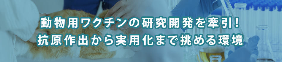 【特集】動物用ワクチンの未来を創る研究職